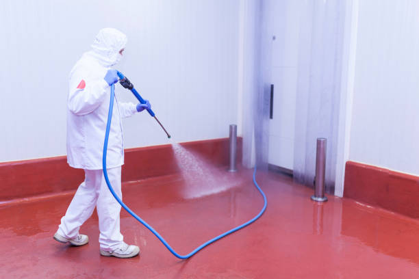 Best Factory Floor Cleaning  in New Haven, IN